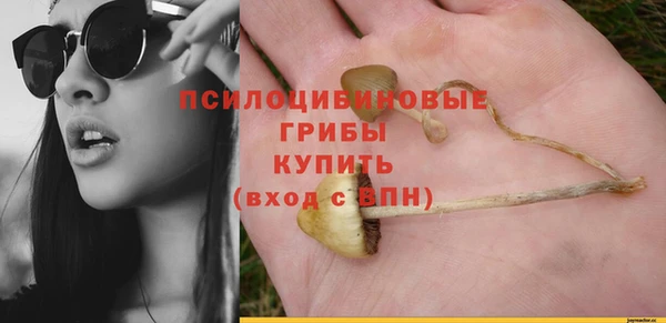 круглые Гусев