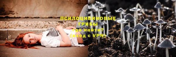 круглые Гусев
