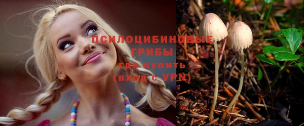круглые Гусев